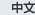 中文